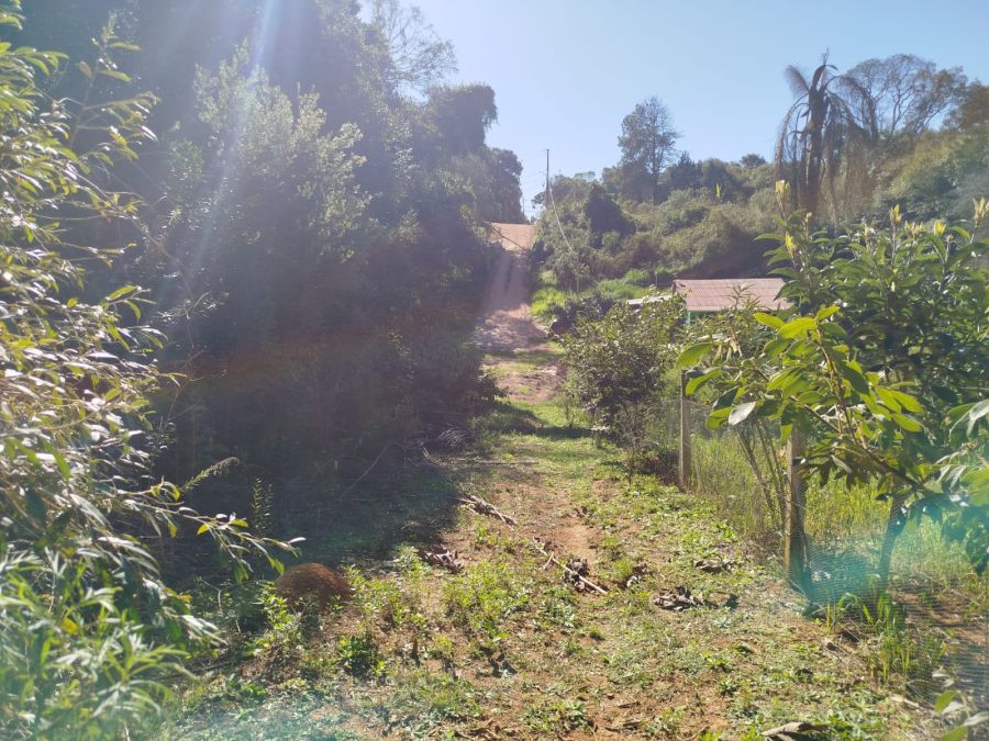 Terreno - Venda - Del Rey - São José dos Pinhais - PR