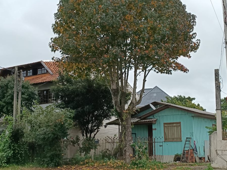Terreno - Venda - Santa Felicidade - Curitiba - PR