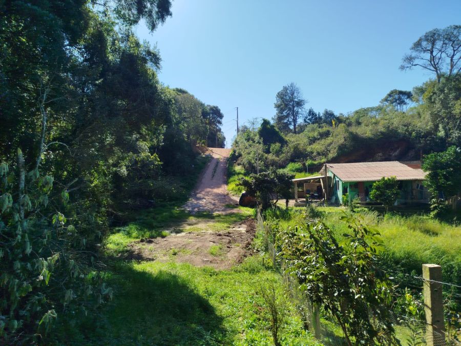 Terreno - Venda - Del Rey - São José dos Pinhais - PR