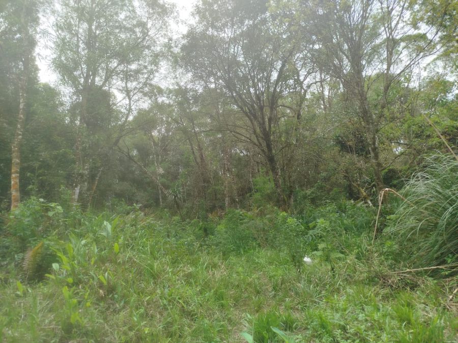 Terreno - Venda - Del Rey - São José dos Pinhais - PR