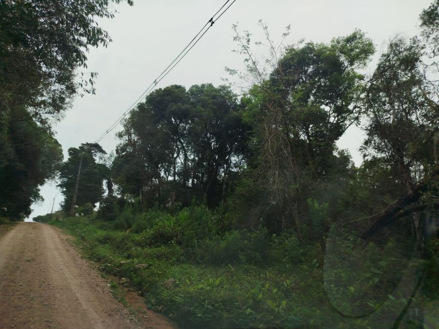 Terreno - Venda - Del Rey - So Jos dos Pinhais - PR